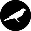 Kusama (KSM) logo
