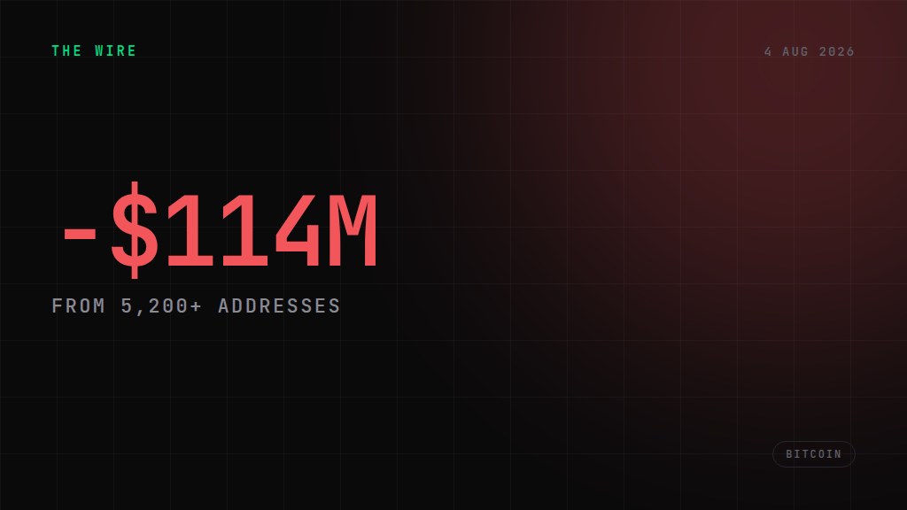 Coldcard losses reach $114M across 5,200 addresses. −$114M